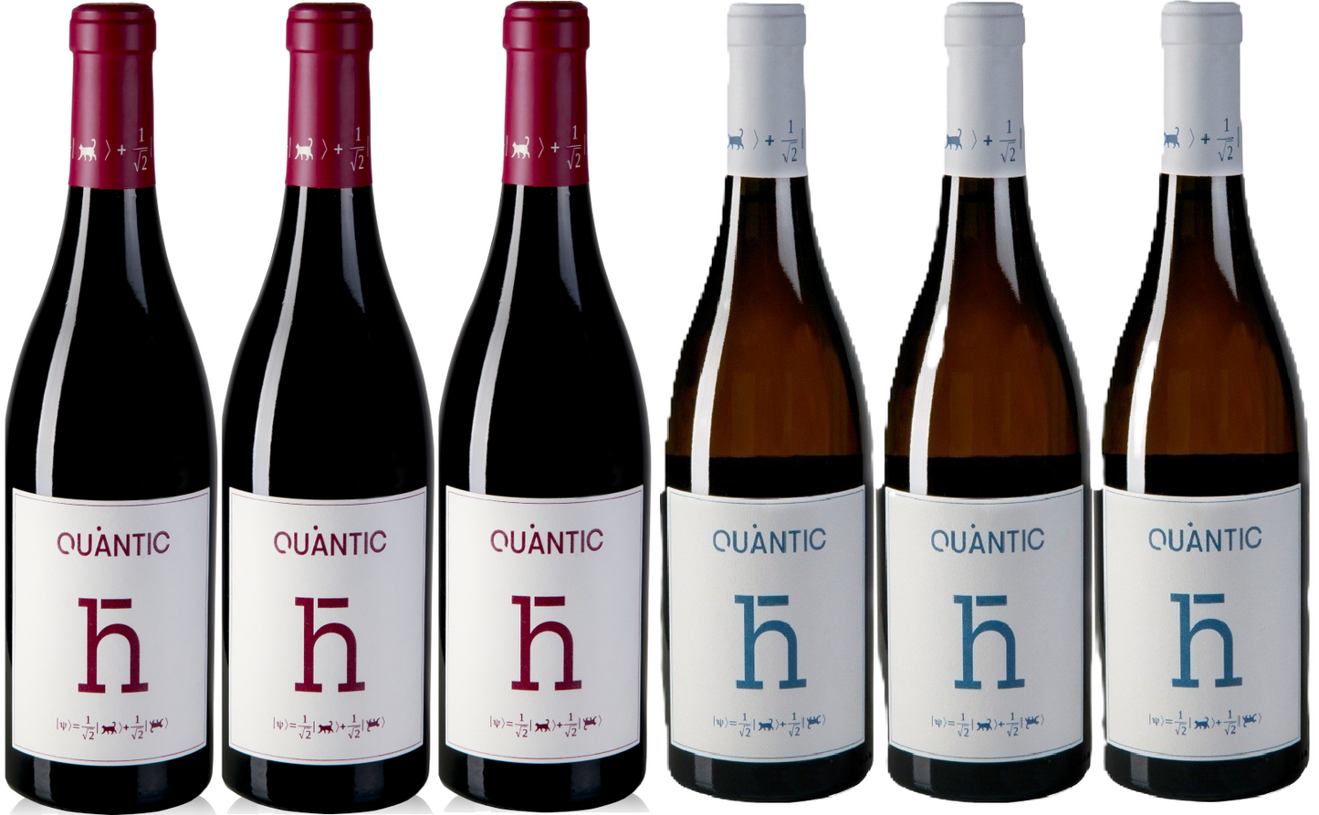 Pack: 3 Max Born, 3 Lise Meitner