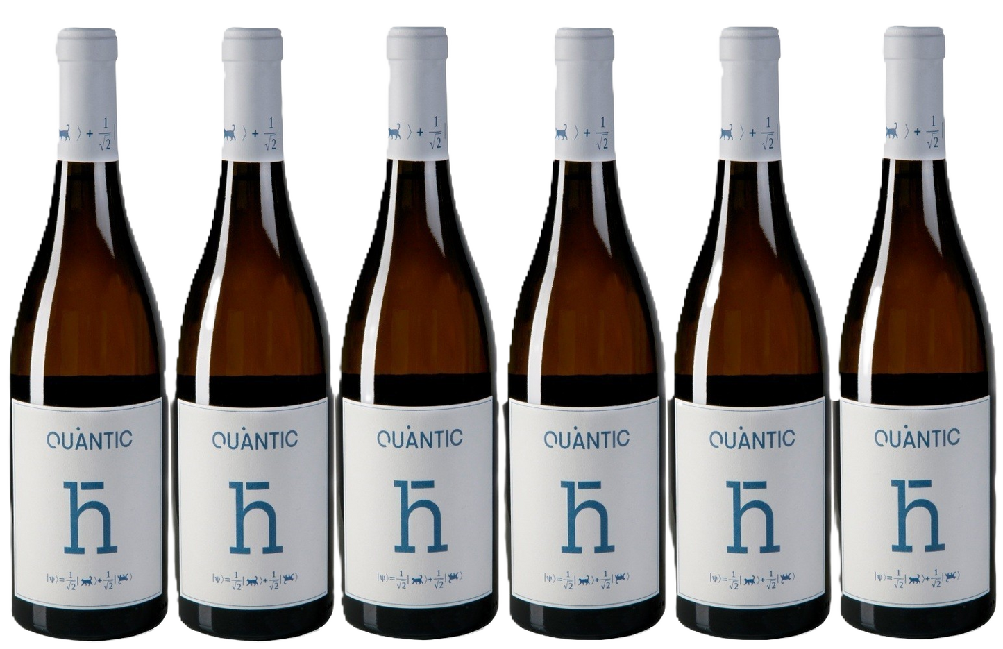 Pack: 6 Lise Meitner