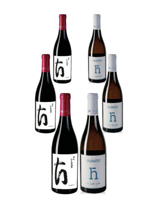 Pack 3 El.lipse, 3 Lise Meitner
